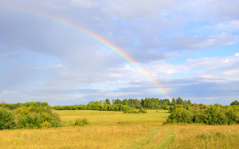 What I Really&nbsp;Need